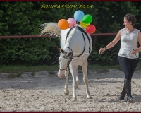 1-13JUIN 1220